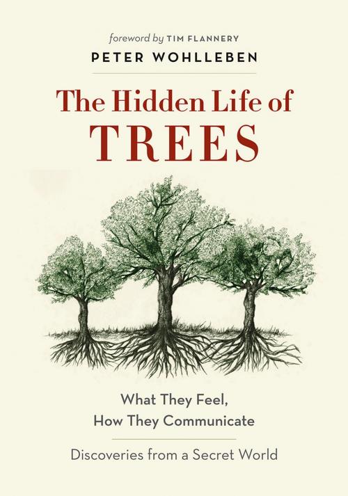 Cover of the book The Hidden Life of Trees by Peter Wohlleben, Greystone Books Ltd.