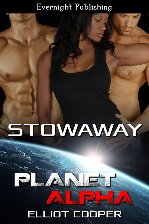 Cover of the book Stowaway by Elliot Cooper, Evernight Publishing