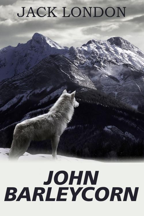 Cover of the book John Barleycorn by London, Jack, Издательство Aegitas