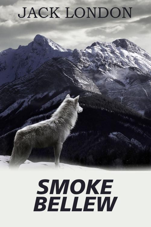 Cover of the book Smoke Bellew by London, Jack, Издательство Aegitas