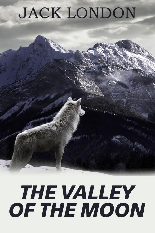 Cover of the book The Valley of the Moon by London, Jack, Издательство Aegitas