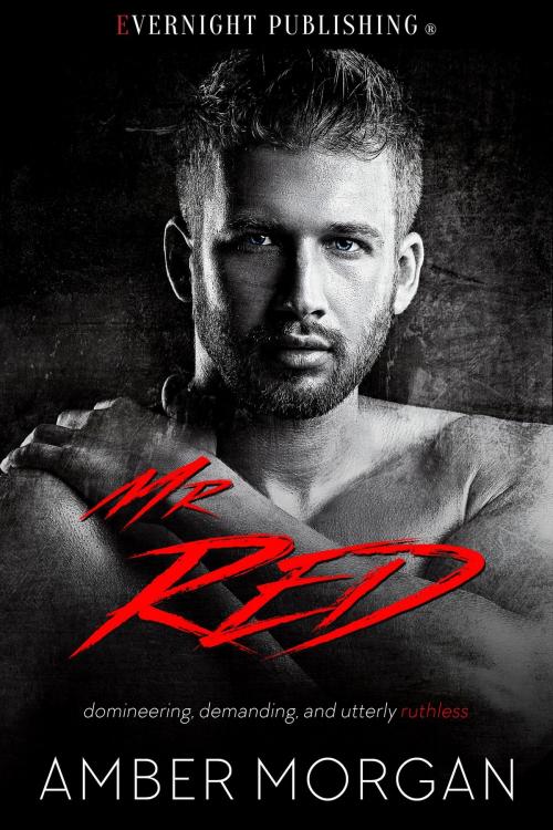 Cover of the book Mr. Red by Amber Morgan, Evernight Publishing