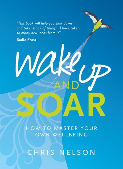 Cover of the book Wake Up and SOAR by Chris Nelson, Watkins Media