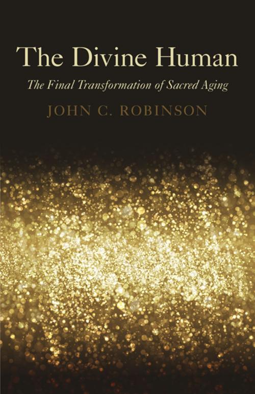 Cover of the book The Divine Human by John C. Robinson, John Hunt Publishing