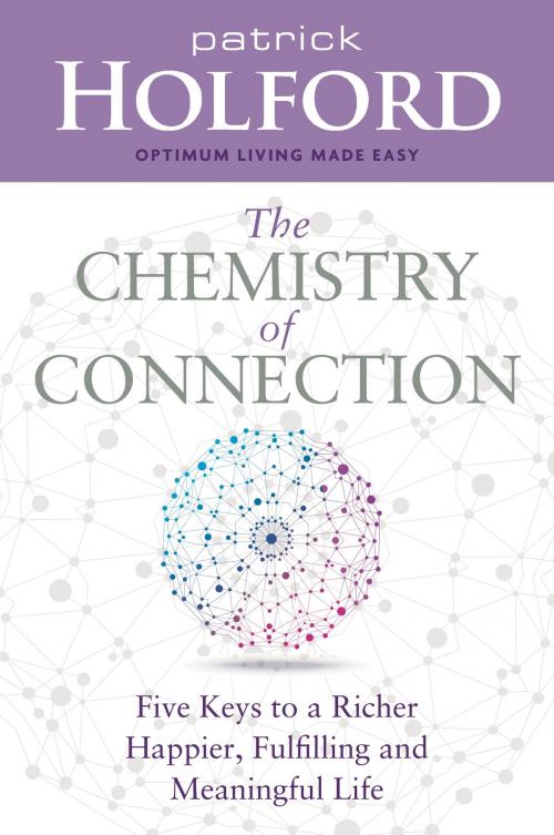Cover of the book The Chemistry of Connection by Patrick Holford, Hay House