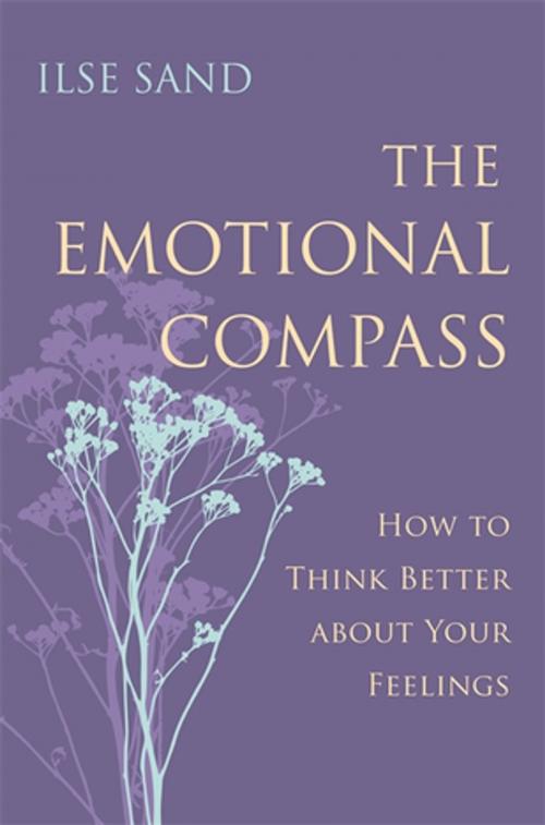 Cover of the book The Emotional Compass by Ilse Sand, Jessica Kingsley Publishers