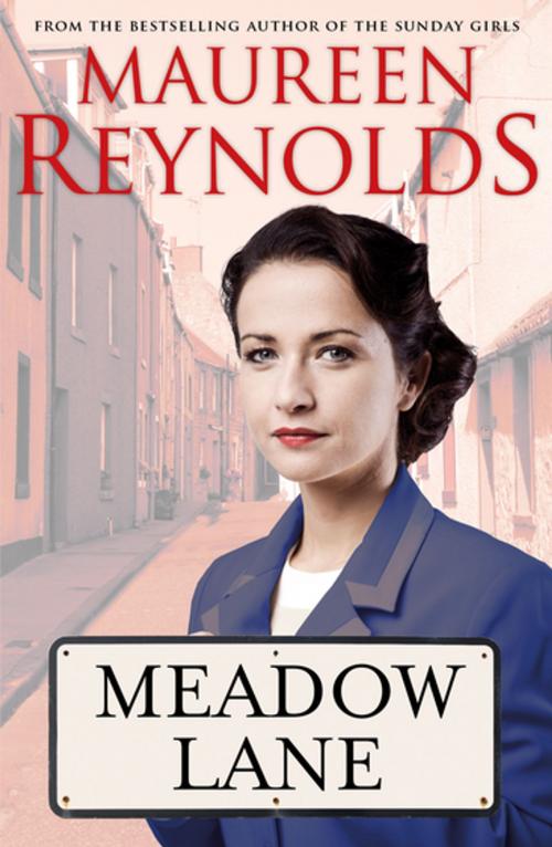 Cover of the book Meadow Lane by Maureen Reynolds, Black & White Publishing