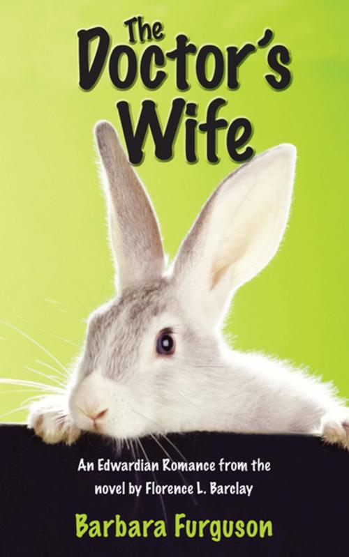 Cover of the book The Doctor's Wife by Barbara Furguson, Grosvenor House Publishing