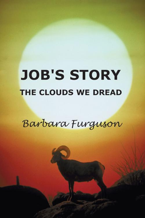 Cover of the book Job's Story - The Clouds we Dread by Barbara Furguson, Grosvenor House Publishing
