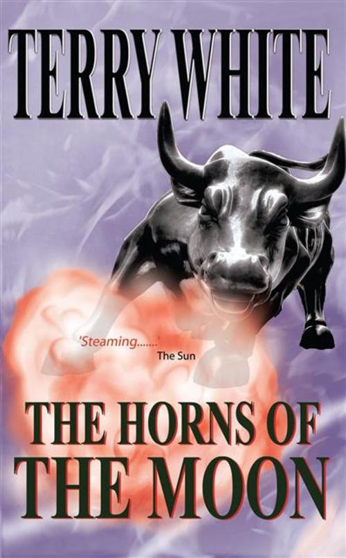 Cover of the book Horns of the Moon by Terry White, Legend Press