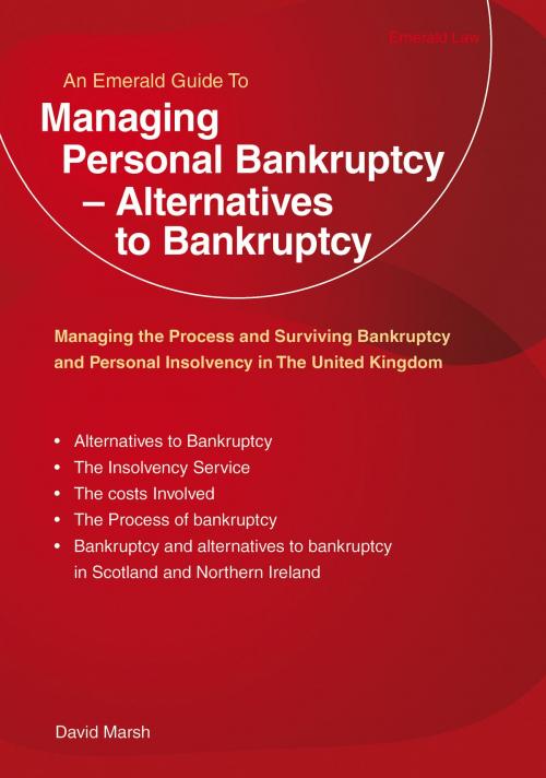 Cover of the book Managing Personal Bankruptcy - Alternatives To Bankruptcy by David Marsh, Straightforward Publishing