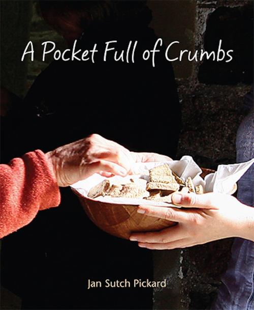 Cover of the book Pocket Full of Crumbs by Jan Sutch Pickard, Wild Goose Publications