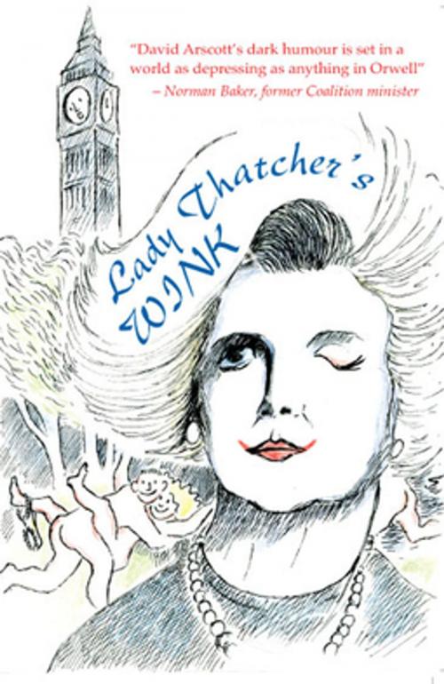 Cover of the book Lady Thatcher’s Wink by David Arscott, Pomegranate Press