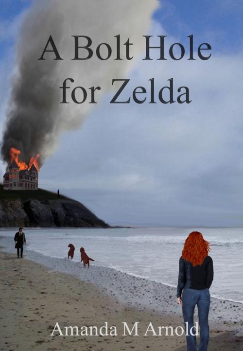 Cover of the book A Bolt Hole for Zelda by Amanda M Arnold, The Endless Bookcase