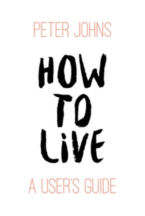 Cover of the book How to Live by Peter Johns, Clink Street Publishing