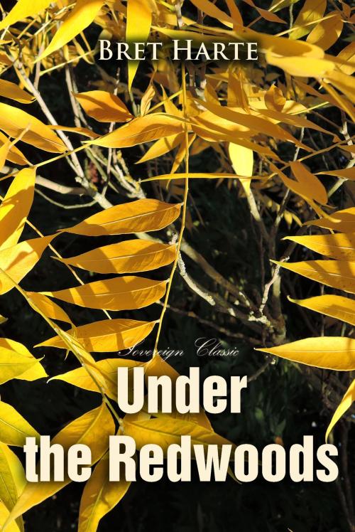 Cover of the book Under the Redwoods by Bret Harte, Interactive Media