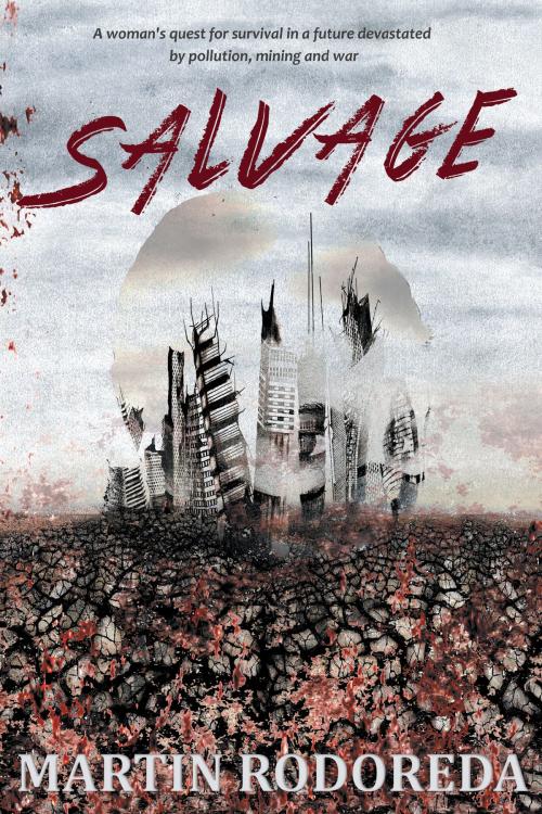 Cover of the book Salvage by Martin Rodoreda, Odyssey Books