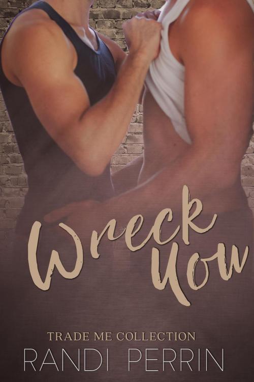 Cover of the book Wreck You by Randi Perrin, Hot Tree Publishing