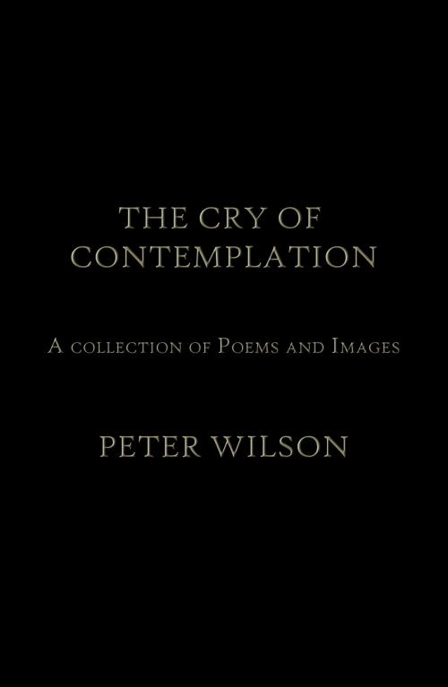 Cover of the book The Cry of Contemplation by Peter Wilson, Australian eBook Publisher