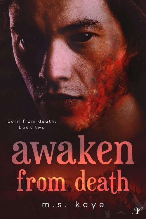 Cover of the book Awaken From Death by MS Kaye, Inkspell Publishing LLC