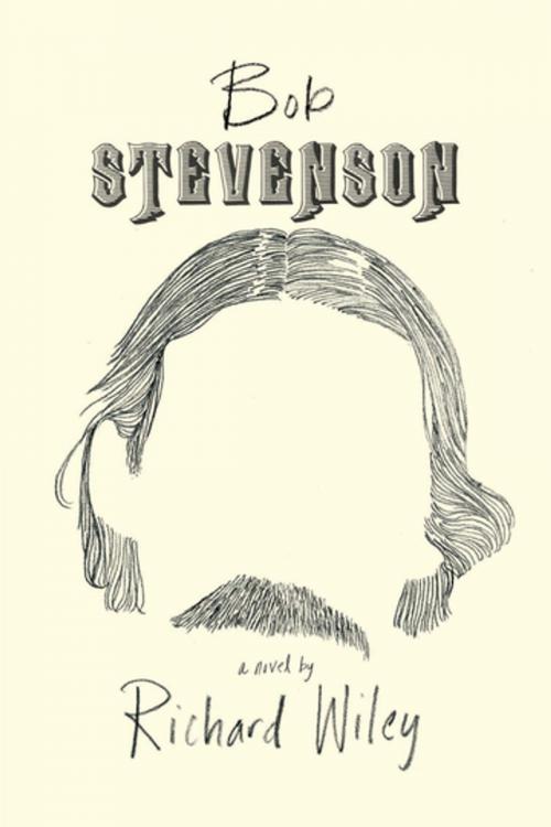 Cover of the book Bob Stevenson by Richard Wiley, Bellevue Literary Press