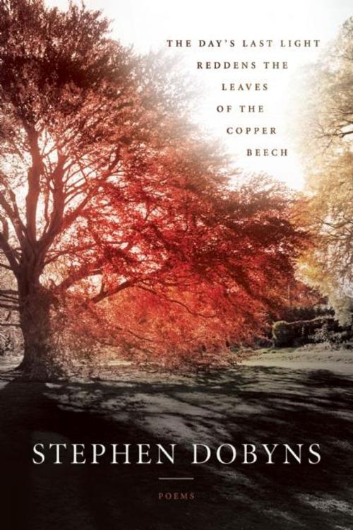 Cover of the book The Day's Last Light Reddens the Leaves of the Copper Beech by Stephen Dobyns, BOA Editions Ltd.