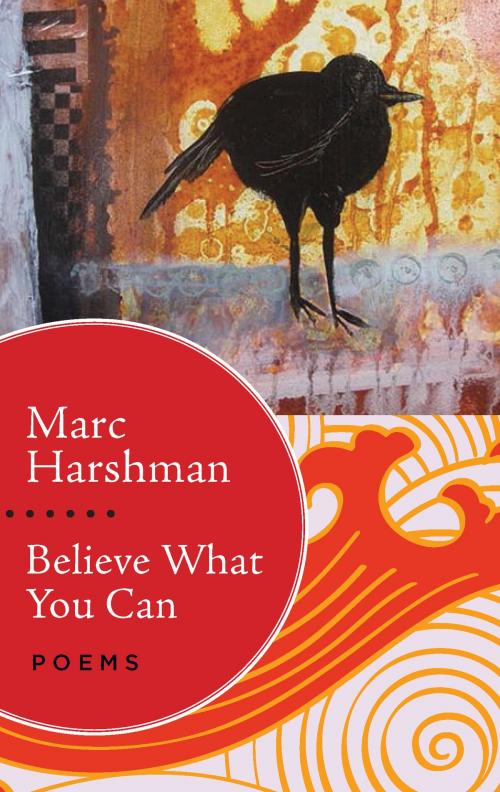 Cover of the book Believe What You Can by Marc Harshman, West Virginia University Press
