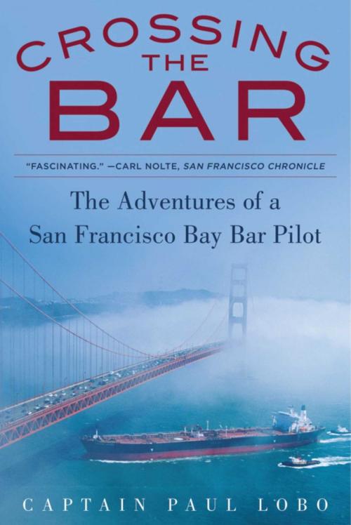 Cover of the book Crossing the Bar by Paul Lobo, Seahorse