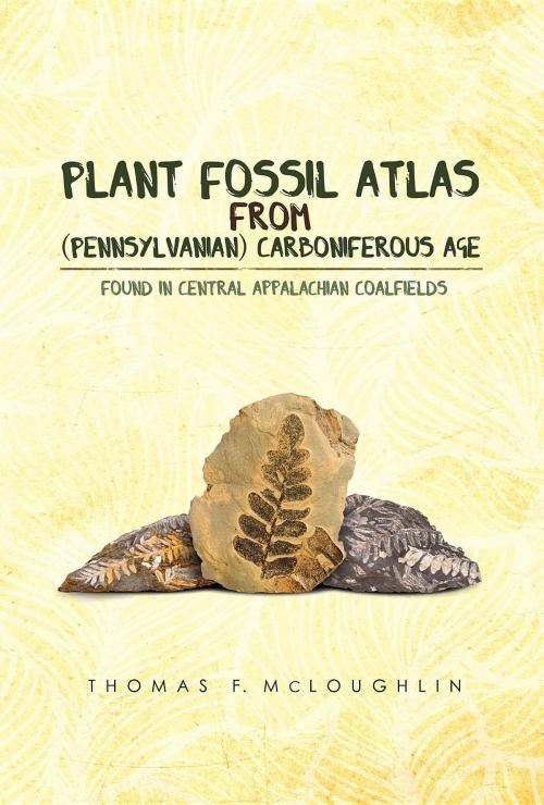 Cover of the book Plant Fossil Atlas From (Pennsylvanian) Carboniferous Age by Thomas  F. McLoughlin, Green Ivy