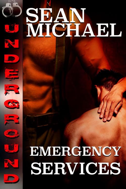 Cover of the book Emergency Services by Sean Michael, Sean Michael