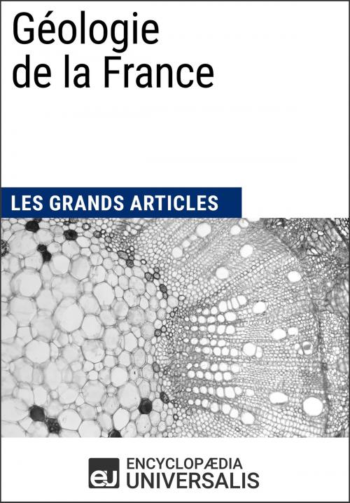 Cover of the book Géologie de la France by Encyclopaedia Universalis, Encyclopaedia Universalis