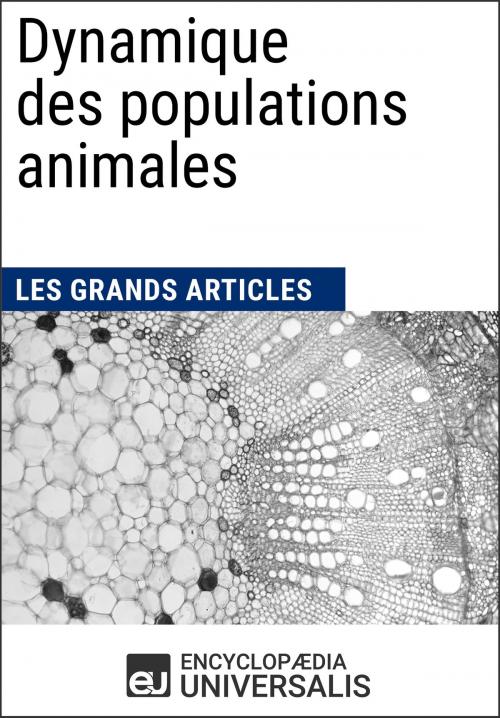 Cover of the book Dynamique des populations animales by Encyclopaedia Universalis, Encyclopaedia Universalis