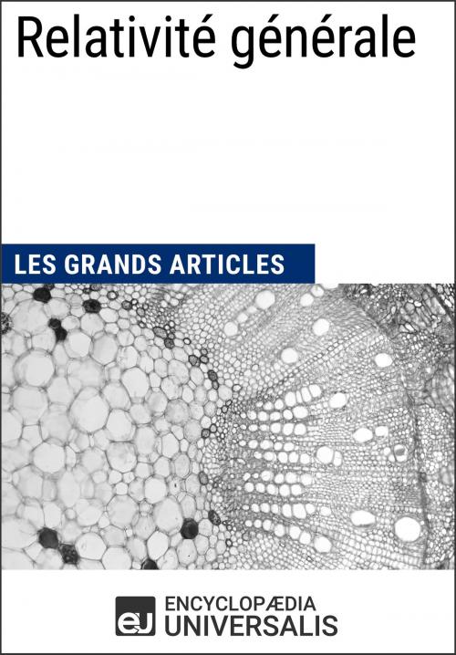 Cover of the book Relativité générale by Encyclopaedia Universalis, Encyclopaedia Universalis