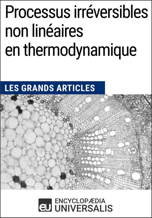 Cover of the book Processus irréversibles non linéaires en thermodynamique by Encyclopaedia Universalis, Encyclopaedia Universalis