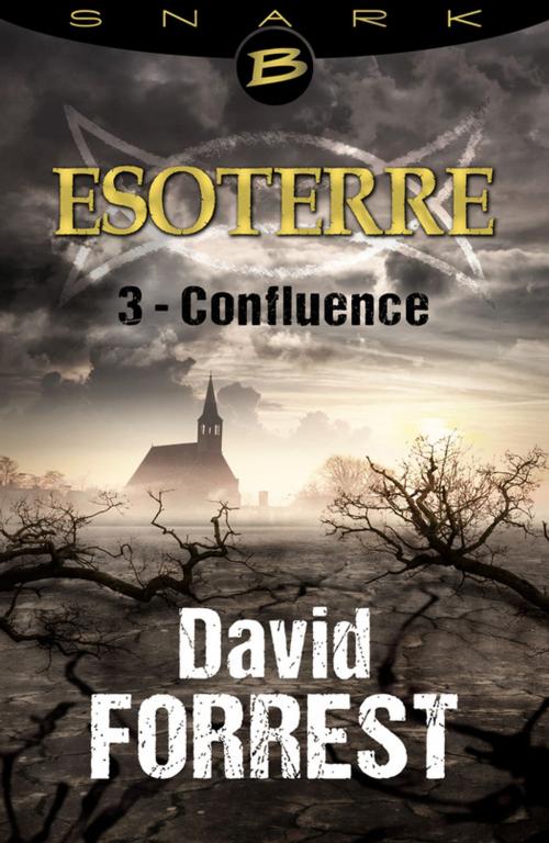 Cover of the book Confluence - Esoterre - Saison 1 - Épisode 3 by David Forrest, Bragelonne