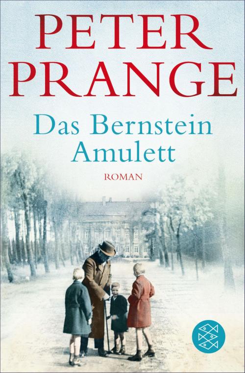 Cover of the book Das Bernstein-Amulett by Peter Prange, FISCHER E-Books