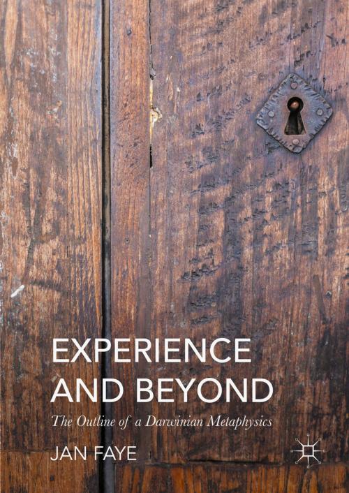 Cover of the book Experience and Beyond by Jan Faye, Springer International Publishing