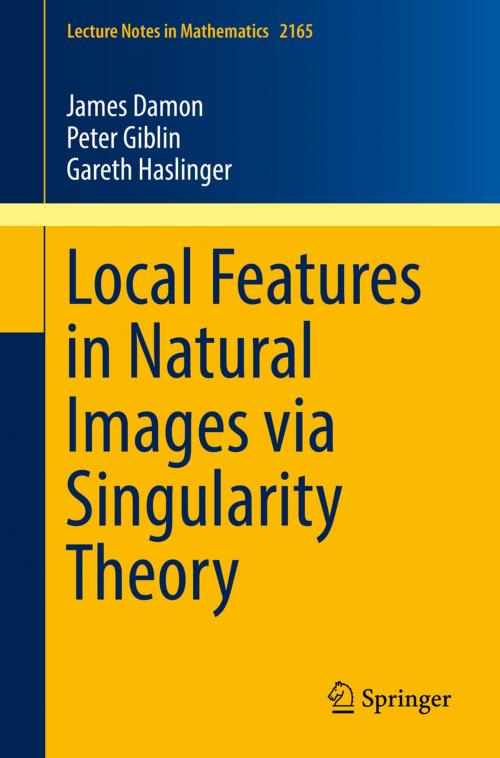 Cover of the book Local Features in Natural Images via Singularity Theory by James Damon, Peter Giblin, Gareth Haslinger, Springer International Publishing