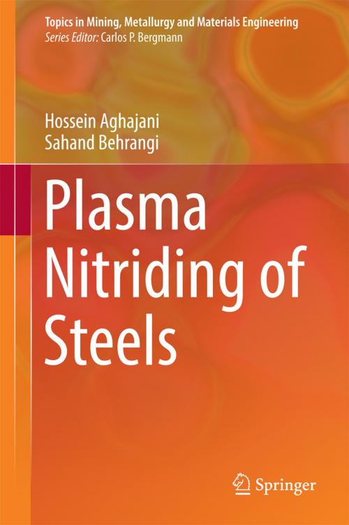 Cover of the book Plasma Nitriding of Steels by Hossein Aghajani, Sahand Behrangi, Springer International Publishing