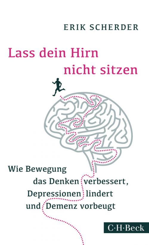 Cover of the book Lass dein Hirn nicht sitzen by Erik Scherder, C.H.Beck