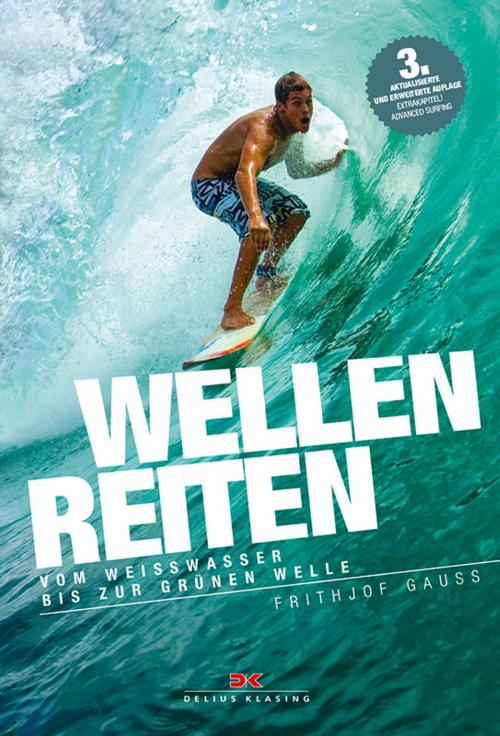 Cover of the book Wellenreiten by Frithjof Gauss, Delius Klasing Verlag