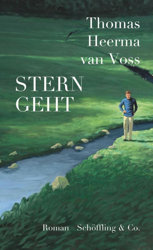 Cover of the book Stern geht by Thomas Heerma van Voss, Christian Brandl, Schöffling & Co.