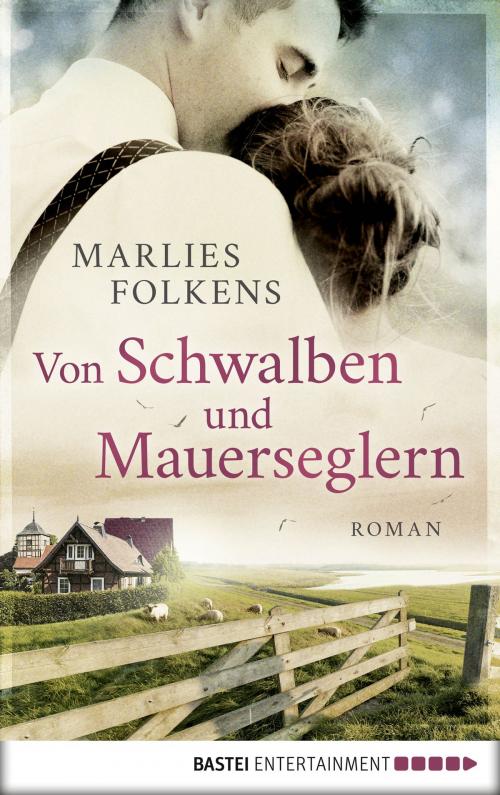 Cover of the book Von Schwalben und Mauerseglern by Marlies Folkens, Bastei Entertainment