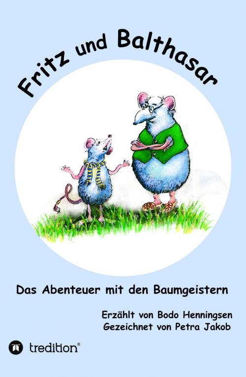 Cover of the book Fritz und Balthasar by Bodo Henningsen, tredition