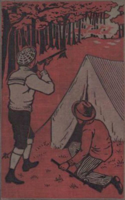 Cover of the book Through Apache Land by Edward Sylvester Ellis, anboco