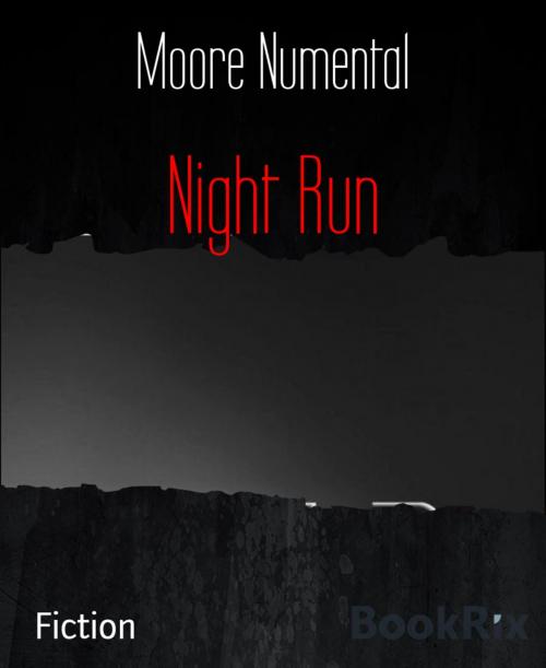 Cover of the book Night Run by Moore Numental, BookRix
