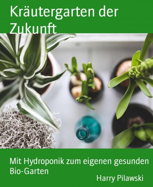 Cover of the book Kräutergarten der Zukunft by Harry Pilawski, BookRix
