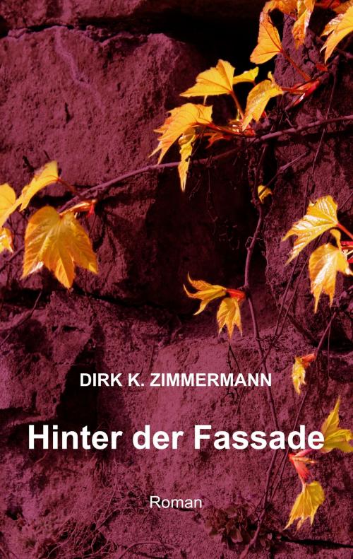 Cover of the book Hinter der Fassade by Dirk K. Zimmermann, Books on Demand