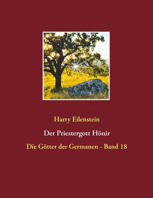 Cover of the book Der Priestergott Hönir by Harry Eilenstein, Books on Demand