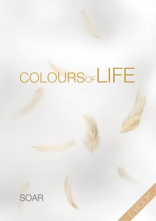 Cover of the book Colours of Life by Soar ., epubli